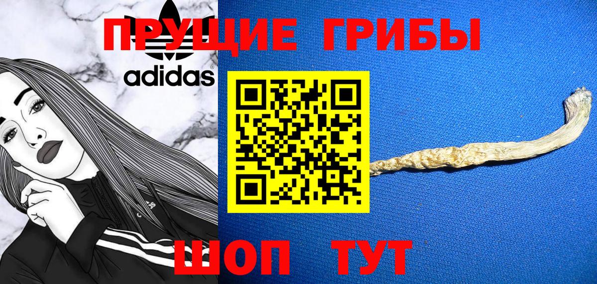 Галлюциногенные грибы MAGIC MUSHROOMS  Вход с VPN  Моршанск 