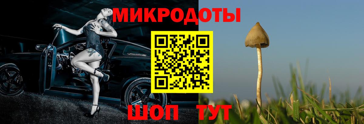 Псилоцибиновые грибы Magic Shrooms Моршанск